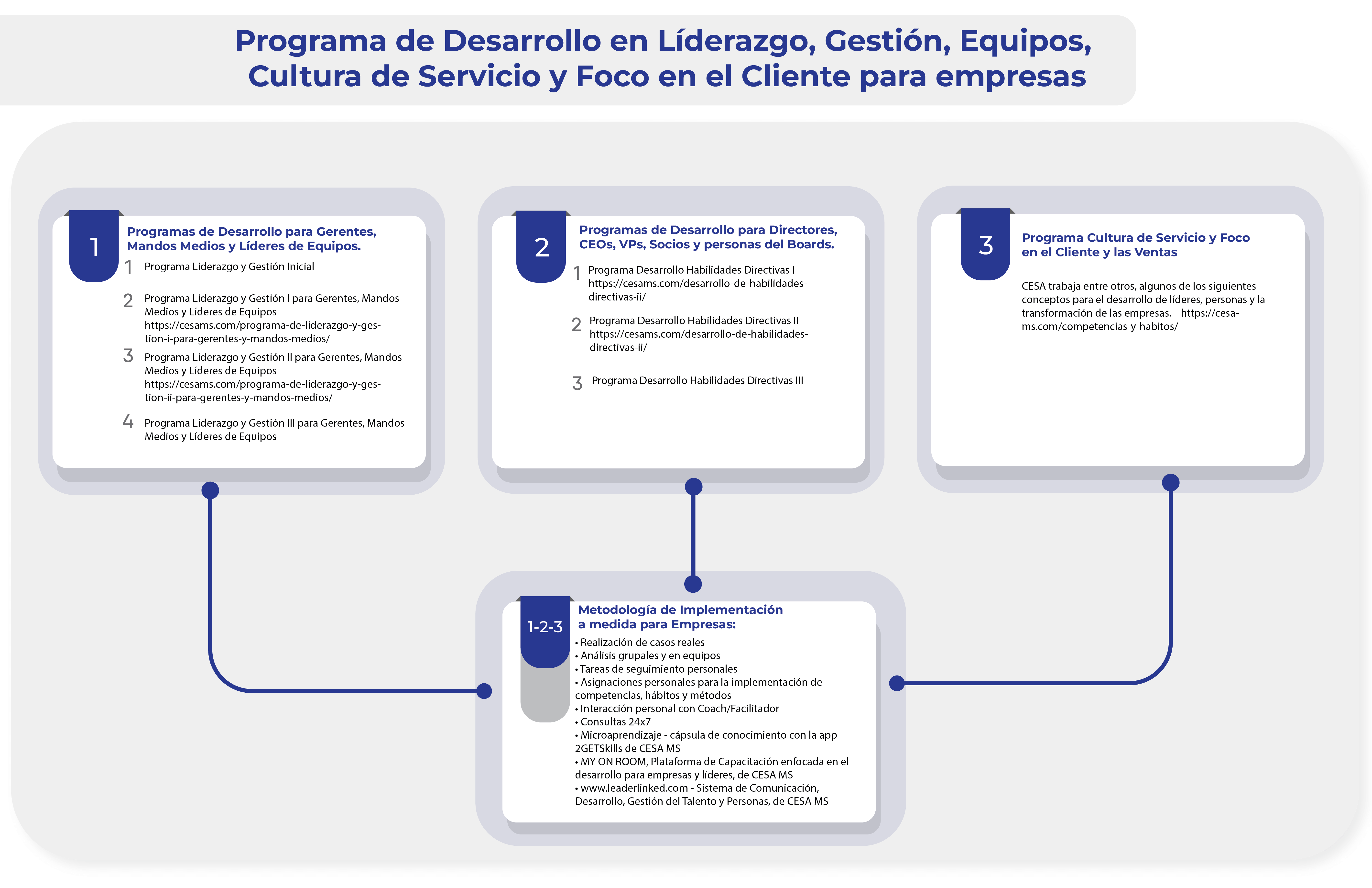 CESA les presenta, este conjunto de Programas, profundos y amplios en sus contenidos, para implementar a medida en las empresas y transformarlas.