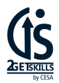 logo 2getskills azul-04